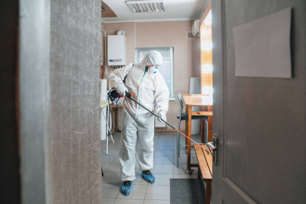 Best Environmental Consulting for Mold Prevention  in Grapevine, TX