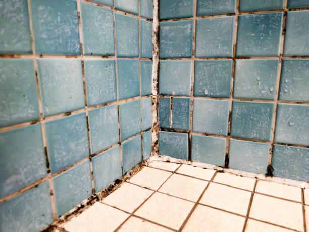 Best Emergency Mold Remediation  in Grapevine, TX