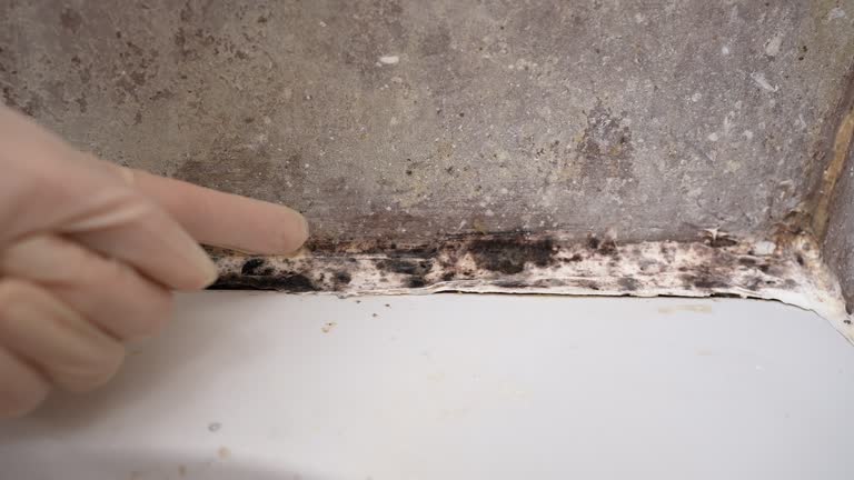 Mold Removal for HVAC Installations in Grapevine, TX